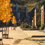 aspen rental rates