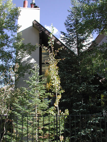aspen condo