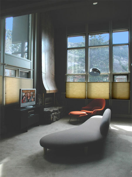 aspen condominium rental