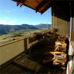 aspen rental