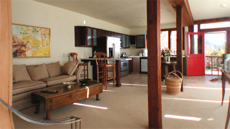 Aspen rental