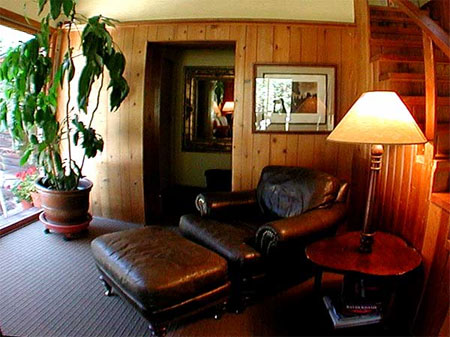 leather arm chair and ottoman