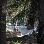 hammock by the river