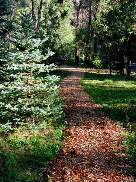 trail